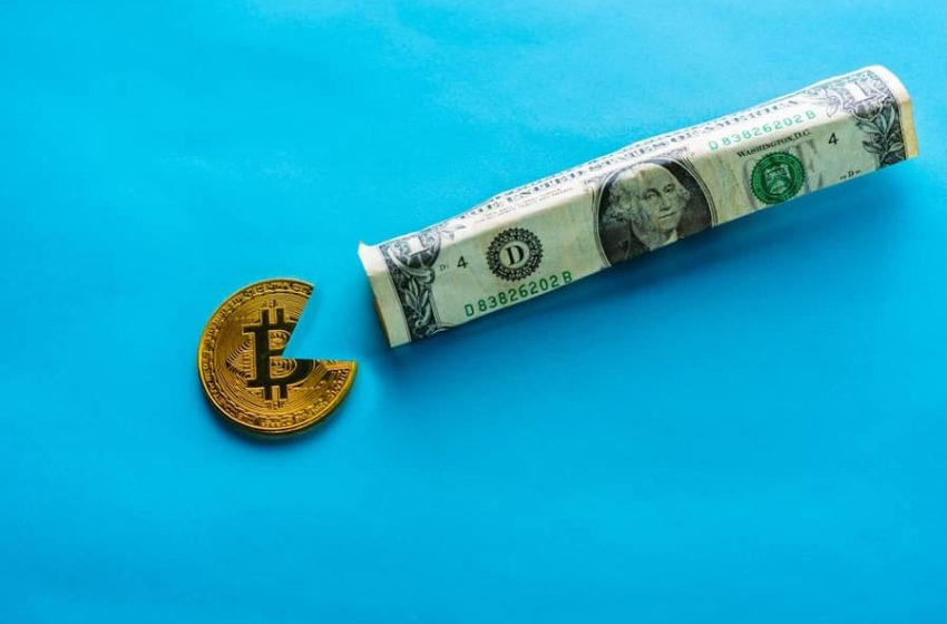  Difference Between Fiat Money and Cryptocurrency, Which Is Better?