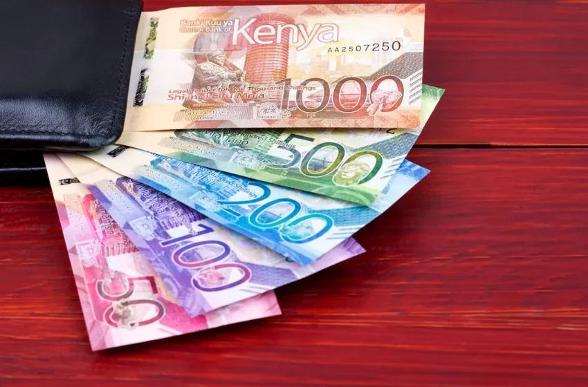  How Kenyans Lost Money in 2024: A Breakdown